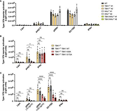 Increased IKKϵ protein stability ensures efficient type I interferon responses in conditions of TBK1 deficiency